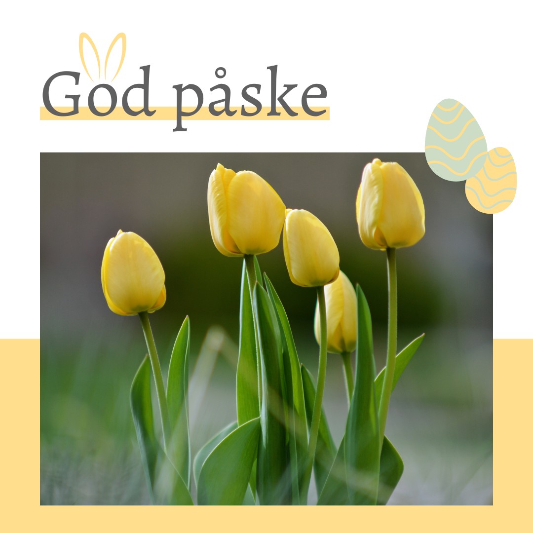 Innlegg fra sosiale medier