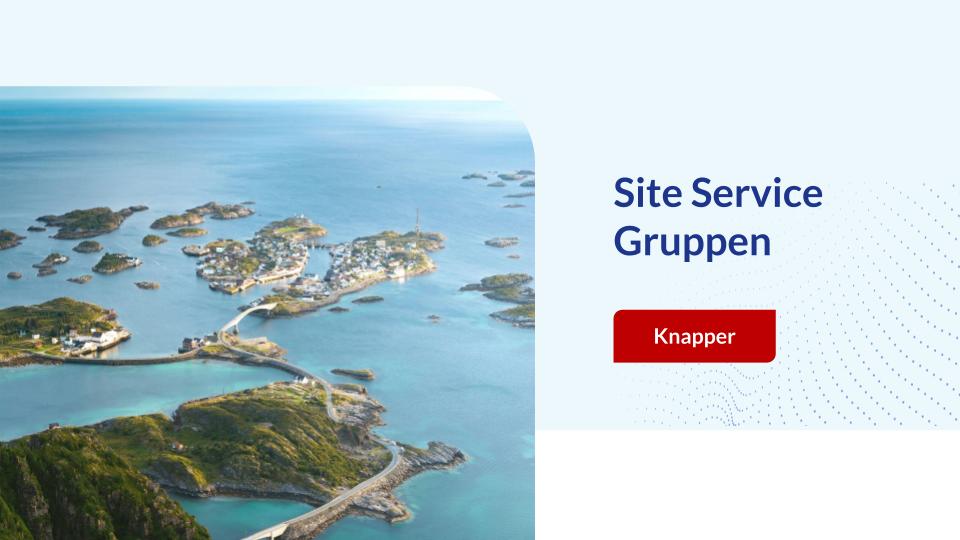 Visualisering av design til Site Service Gruppen